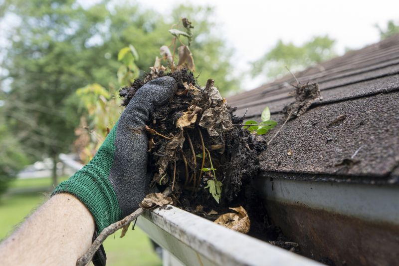 Clogged Gutter Clearing in Monmouth County, NJ