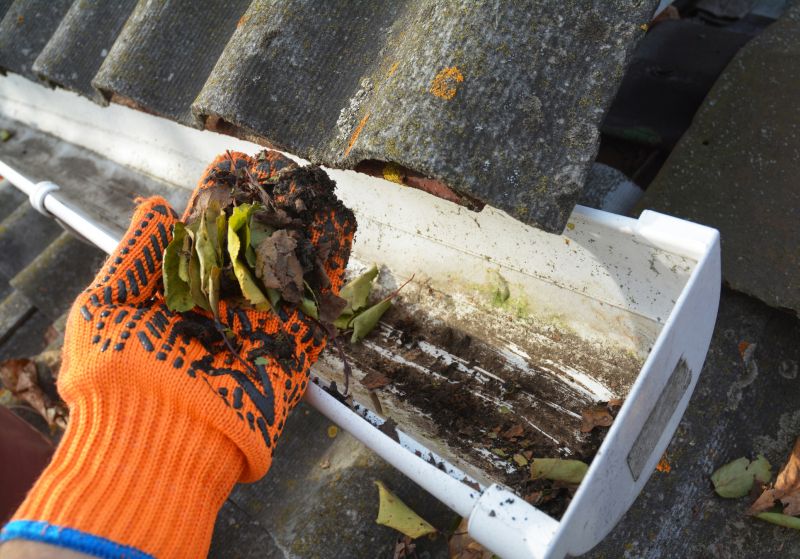 Gutter Cleaning in Longmont, CO