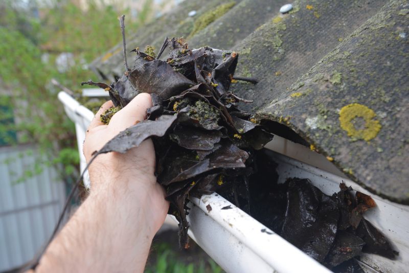 Gutter Cleaning in Bergen County, NJ