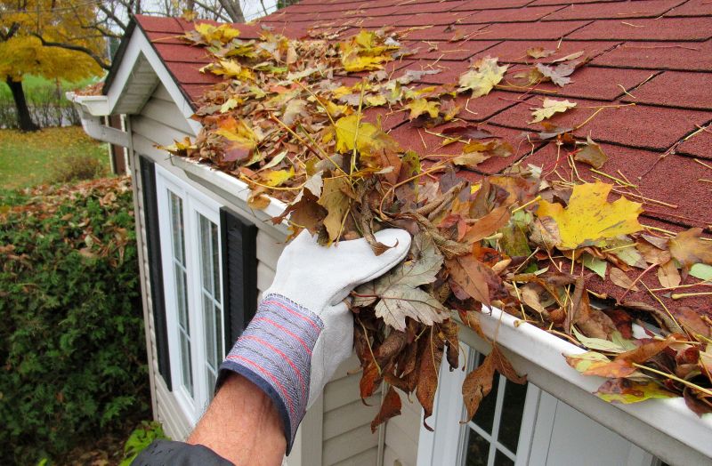 Gutter Leaf Clearing in Rochester, NY