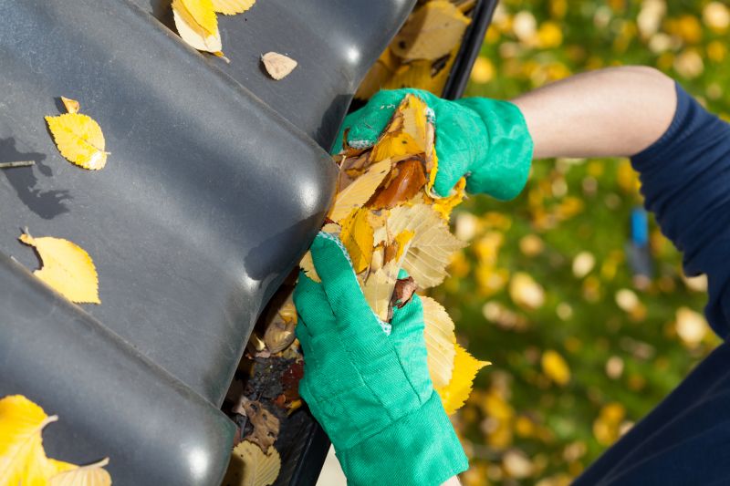 Gutter Leaves Removal in Longmont, CO