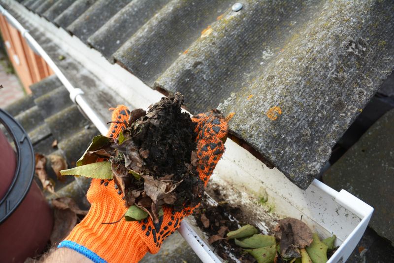 Gutter Pine Needle Removal in Richmond, VA