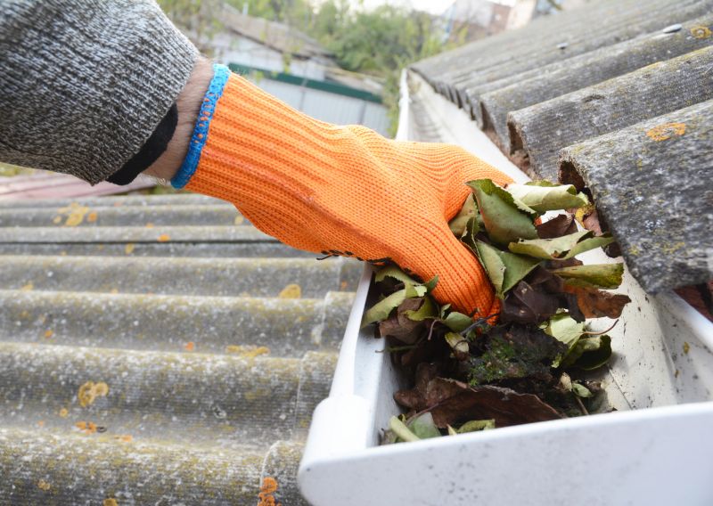 Gutter Pine Needle Removal in Morris County, NJ